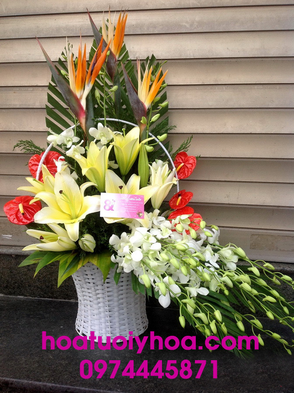 Hoa Tươi Phan Thiết Ý Hoa – Shop hoa cho người yêu cái đẹp
